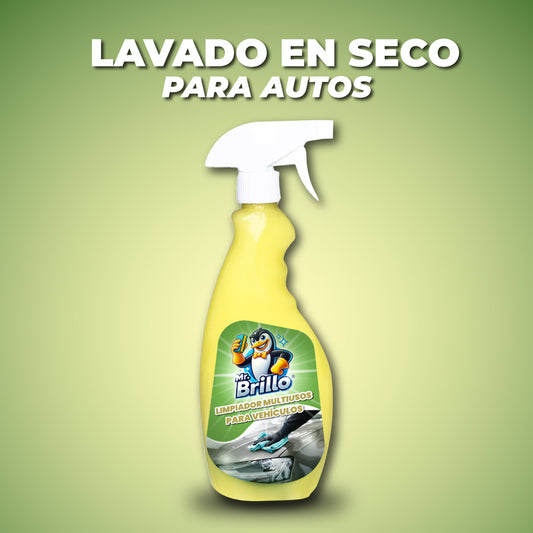 Spray limpiador multiusos para vehículos - Mr Brillo™